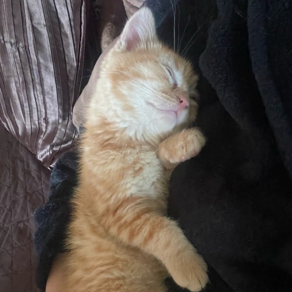 kuromikit
